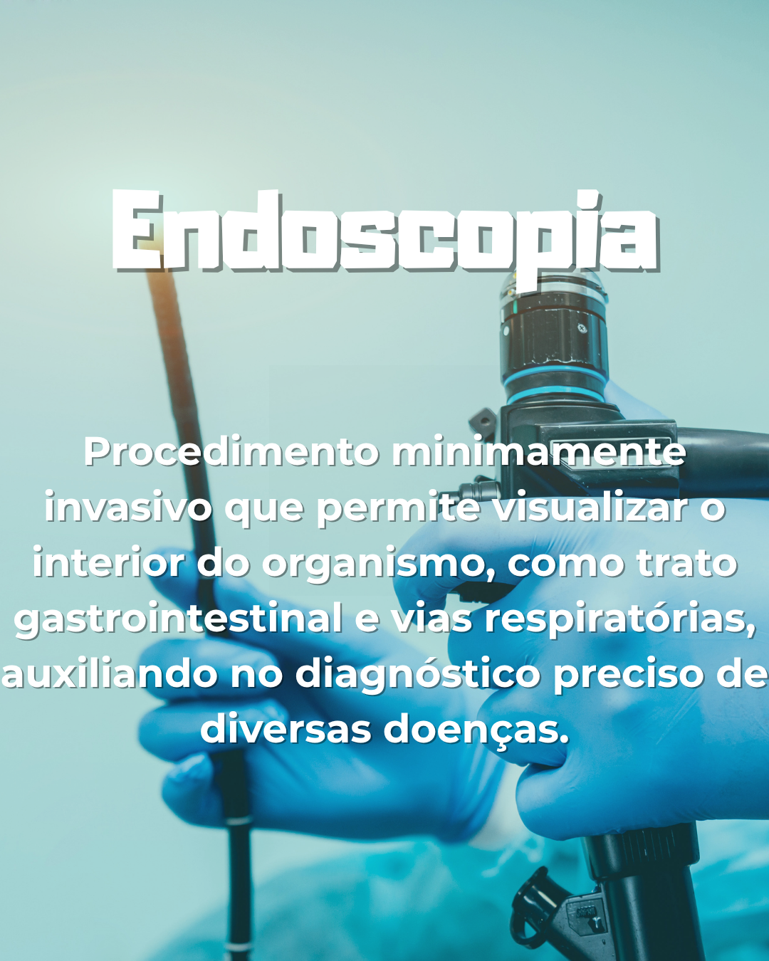 endoscopia veterinária