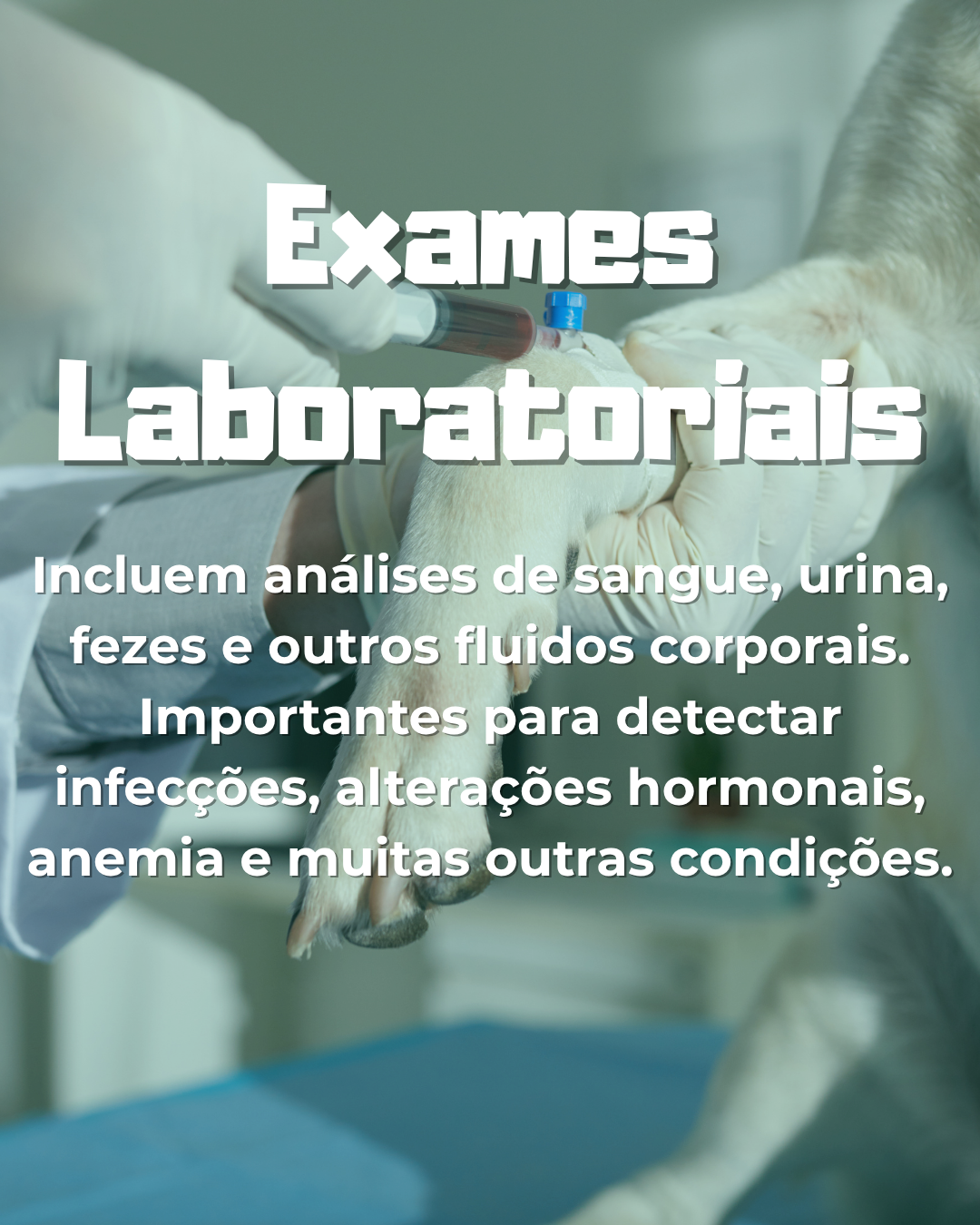 exames laboratoriais veterinários