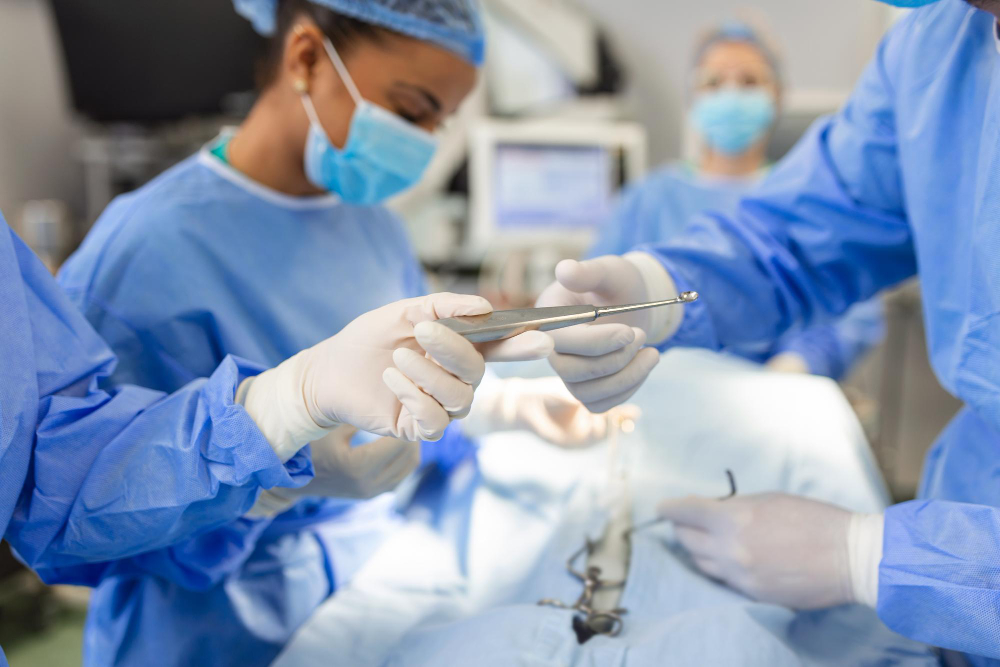 cirurgia veterinária