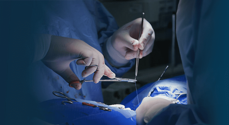 Cirurgia veterinária